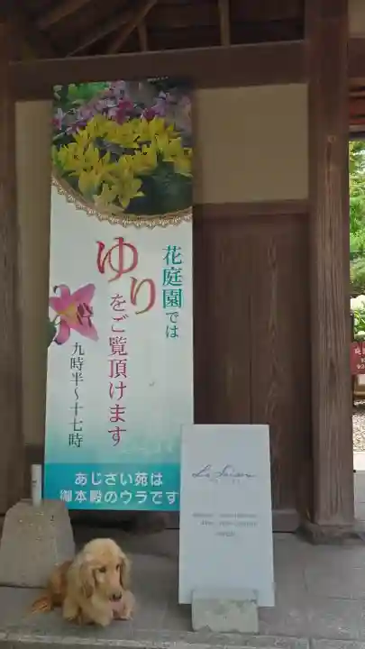 筥崎宮(福岡県)