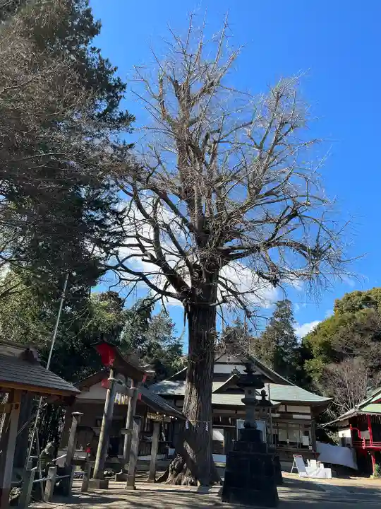 下総国三山 二宮神社(千葉県)