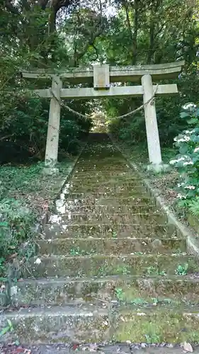 鷲神社の鳥居