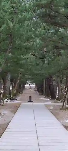 出雲大社(島根県)