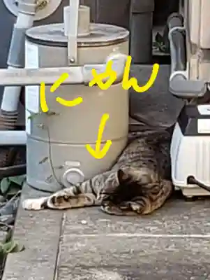 白金氷川神社(東京都)