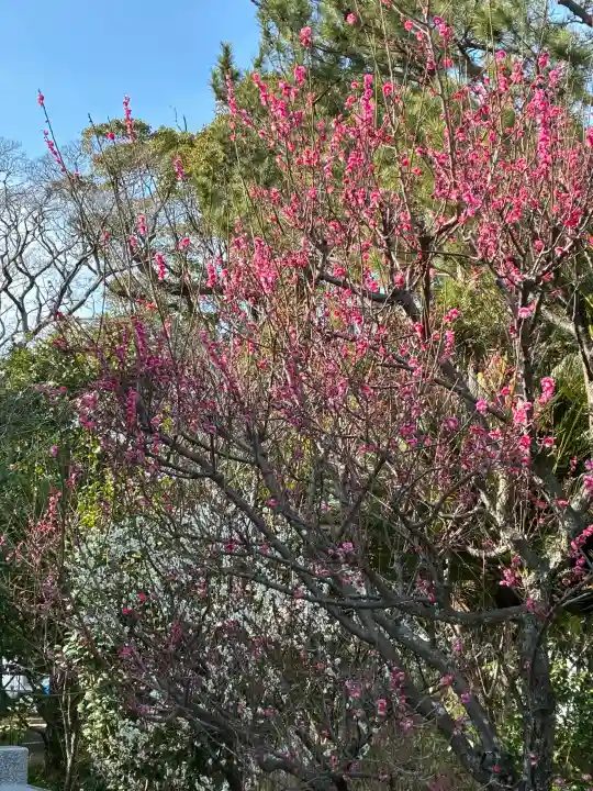 日枝天満宮の{uncategorized: "未分類", other: "その他", undefined: "問題あり", building: "その他建物", grave: "お墓", sacred_gate: "鳥居", guardian: "狛犬", statue: "像", buddha: "仏像", history: "歴史", nature: "自然", garden: "庭園", animal: "動物", pagoda: "塔", temizu: "手水舎", mountain_gate: "山門・神門", sanctuary: "本殿・本堂", subordinate: "末社・摂社", art: "芸術", scenery: "景色", jizo: "地蔵", ema: "絵馬", goshuin: "御朱印", omikuji: "おみくじ", items: "授与品その他", amulet: "お守り", goshuincho: "御朱印帳", eats: "食事", festival: "お祭り", votive_dance: "神楽", shichigosan: "七五三参", wedding: "結婚式", experience: "体験その他", initially: "初詣", around: "周辺", anti_infection: "感染症対策"}