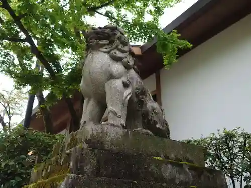 八坂神社(祇園さん)の狛犬