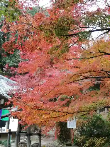 薬王寺の景色