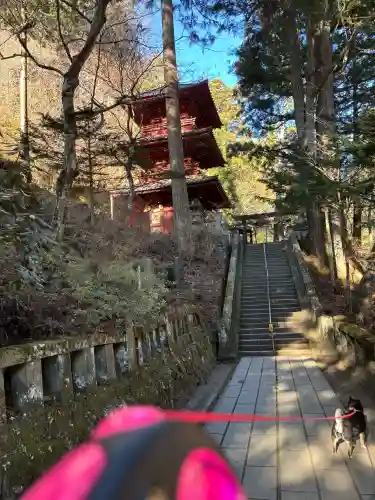 榛名神社の{uncategorized: "未分類", other: "その他", undefined: "問題あり", building: "その他建物", grave: "お墓", sacred_gate: "鳥居", guardian: "狛犬", statue: "像", buddha: "仏像", history: "歴史", nature: "自然", garden: "庭園", animal: "動物", pagoda: "塔", temizu: "手水舎", mountain_gate: "山門・神門", sanctuary: "本殿・本堂", subordinate: "末社・摂社", art: "芸術", scenery: "景色", jizo: "地蔵", ema: "絵馬", goshuin: "御朱印", omikuji: "おみくじ", items: "授与品その他", amulet: "お守り", goshuincho: "御朱印帳", eats: "食事", festival: "お祭り", votive_dance: "神楽", shichigosan: "七五三参", wedding: "結婚式", experience: "体験その他", initially: "初詣", around: "周辺", anti_infection: "感染症対策"}