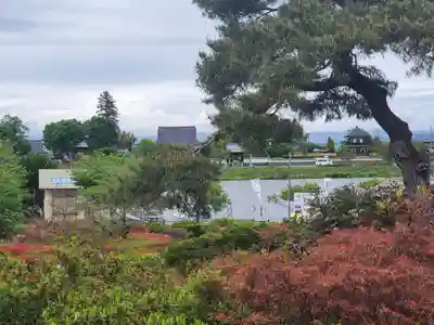 善長寺(群馬県)