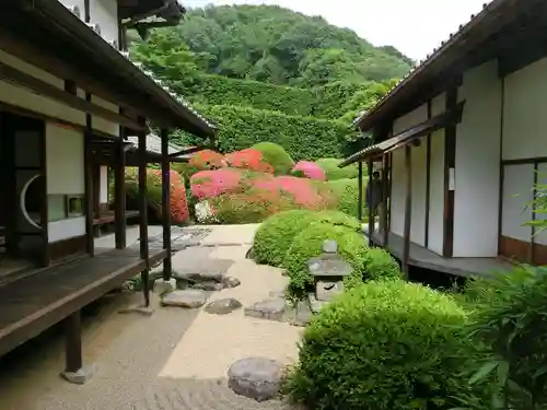 頼久寺の庭園