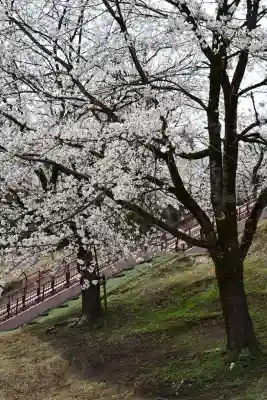 蒼柴神社(新潟県)