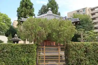 洞泉寺の本殿・本堂