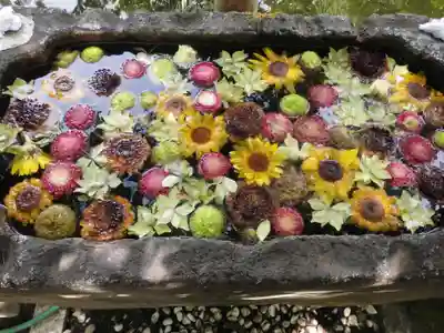 富岡八幡宮の手水舎