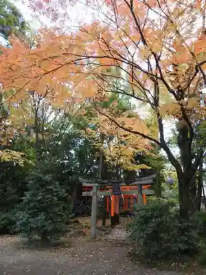 御霊神社(上御霊神社)の鳥居