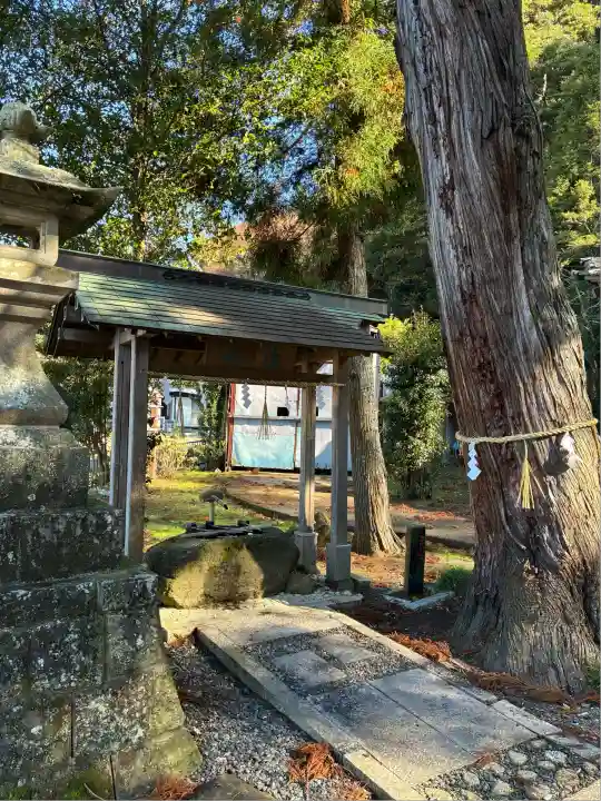 来宮神社(静岡県)