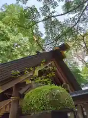 天岩戸神社(宮崎県)