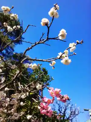 布多天神社(東京都)