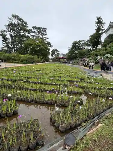 報徳二宮神社(神奈川県)