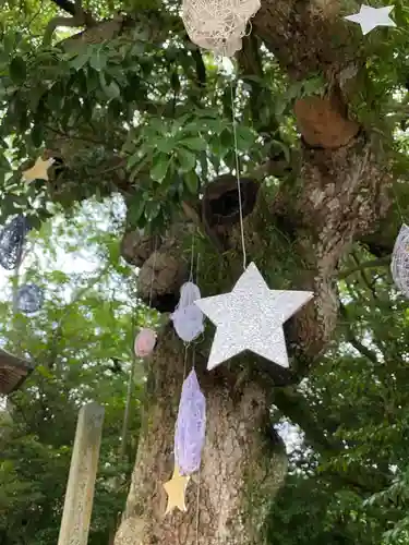 宮地嶽神社の体験その他