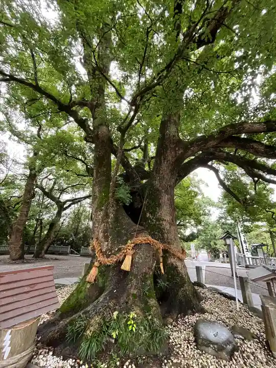 大麻比古神社(徳島県)