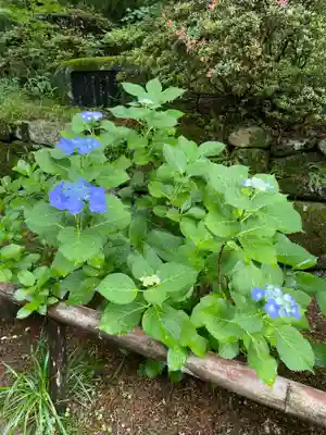 久安寺(大阪府)