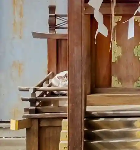 神明社・八幡社合殿（中杉町）の動物