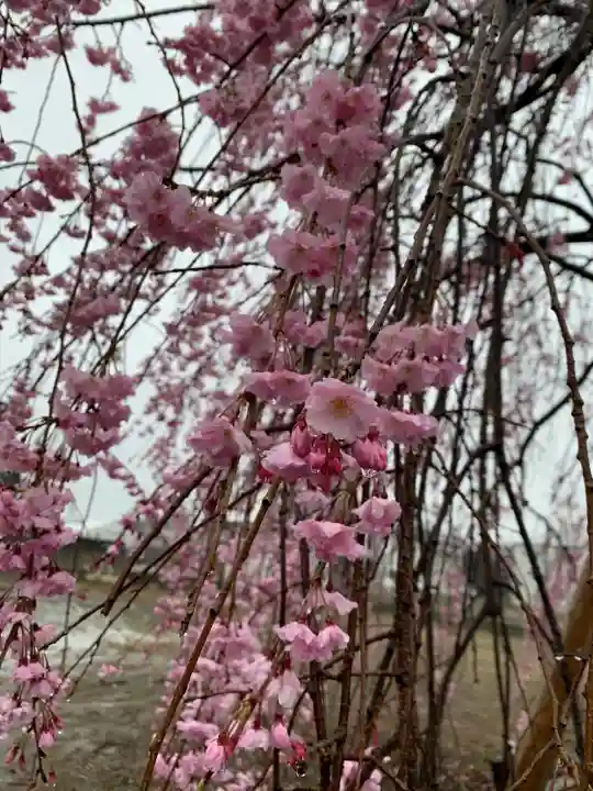 満願寺(埼玉県)