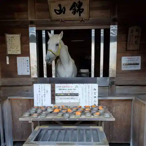 多度大社の動物