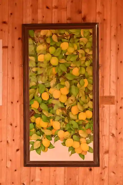 西部八幡神社(愛媛県)