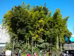 不知森神社(千葉県)