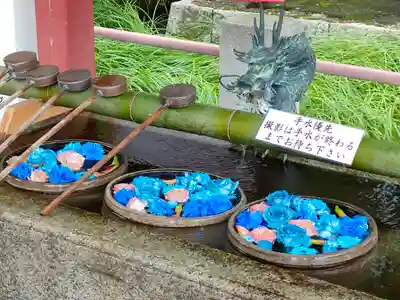 津島神社の手水舎