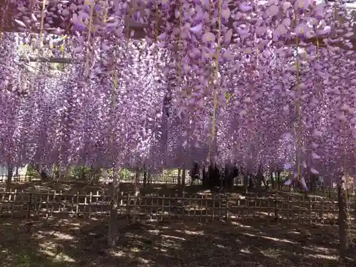 玉敷神社(埼玉県)