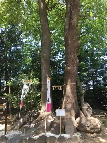 開運招福 飯玉神社の自然