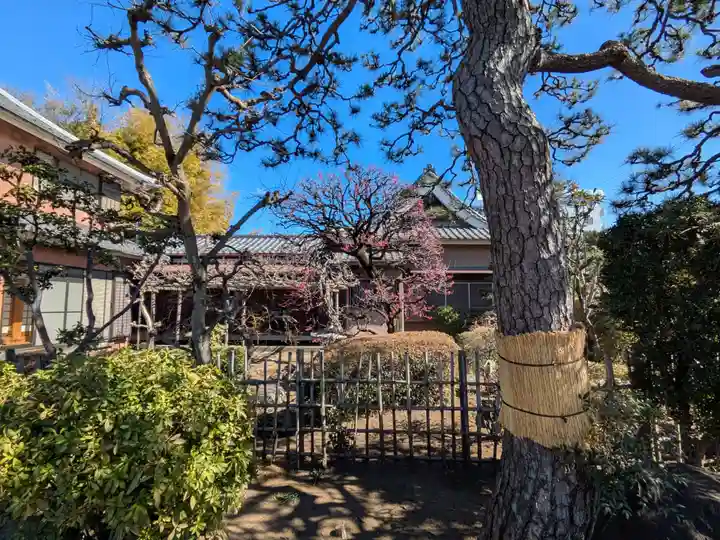 本佛寺(東京都)