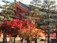 東福禅寺(東福寺)の自然