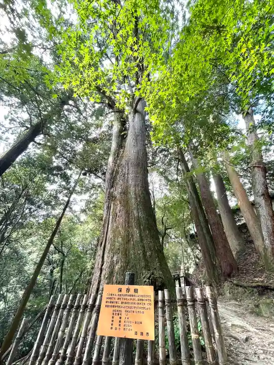 圓教寺(兵庫県)
