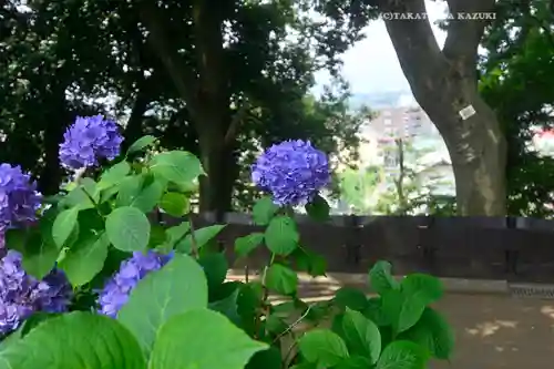 座間神社(神奈川県)