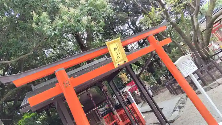 賀茂御祖神社(下鴨神社)(京都府)