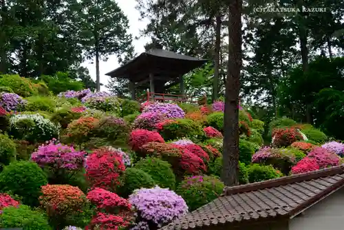 塩船観音寺の景色