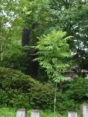 茂左衛門地蔵尊 千日堂のその他建物