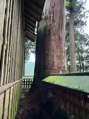 黒川神社(栃木県)