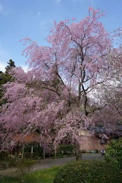 南原寺(山口県)