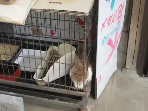 秩父札所十三番 慈眼寺(埼玉県)