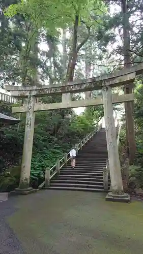 白山比咩神社の鳥居