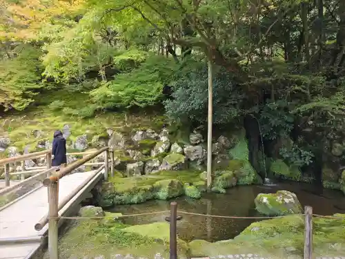 慈照寺（慈照禅寺・銀閣寺）(京都府)