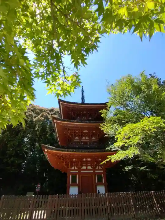 霊山寺の{uncategorized: "未分類", other: "その他", undefined: "問題あり", building: "その他建物", grave: "お墓", sacred_gate: "鳥居", guardian: "狛犬", statue: "像", buddha: "仏像", history: "歴史", nature: "自然", garden: "庭園", animal: "動物", pagoda: "塔", temizu: "手水舎", mountain_gate: "山門・神門", sanctuary: "本殿・本堂", subordinate: "末社・摂社", art: "芸術", scenery: "景色", jizo: "地蔵", ema: "絵馬", goshuin: "御朱印", omikuji: "おみくじ", items: "授与品その他", amulet: "お守り", goshuincho: "御朱印帳", eats: "食事", festival: "お祭り", votive_dance: "神楽", shichigosan: "七五三参", wedding: "結婚式", experience: "体験その他", initially: "初詣", around: "周辺", anti_infection: "感染症対策"}