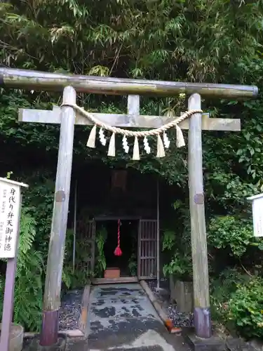 叶神社（東叶神社）の鳥居