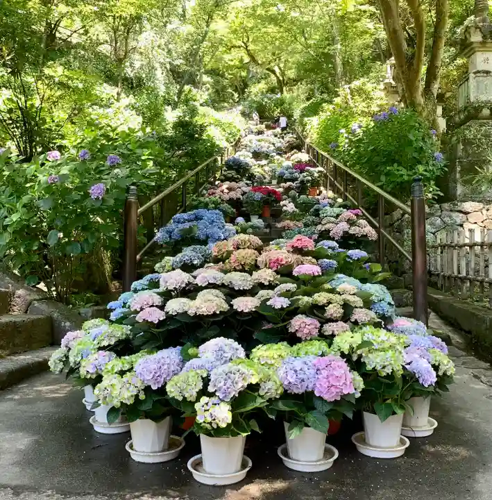 長谷寺のその他建物