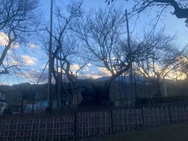 実相寺(山梨県)