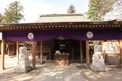 前玉神社の{uncategorized: "未分類", other: "その他", undefined: "問題あり", building: "その他建物", grave: "お墓", sacred_gate: "鳥居", guardian: "狛犬", statue: "像", buddha: "仏像", history: "歴史", nature: "自然", garden: "庭園", animal: "動物", pagoda: "塔", temizu: "手水舎", mountain_gate: "山門・神門", sanctuary: "本殿・本堂", subordinate: "末社・摂社", art: "芸術", scenery: "景色", jizo: "地蔵", ema: "絵馬", goshuin: "御朱印", omikuji: "おみくじ", items: "授与品その他", amulet: "お守り", goshuincho: "御朱印帳", eats: "食事", festival: "お祭り", votive_dance: "神楽", shichigosan: "七五三参", wedding: "結婚式", experience: "体験その他", initially: "初詣", around: "周辺", anti_infection: "感染症対策"}