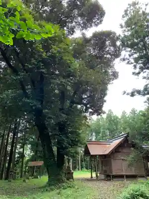 近津神社の本殿・本堂
