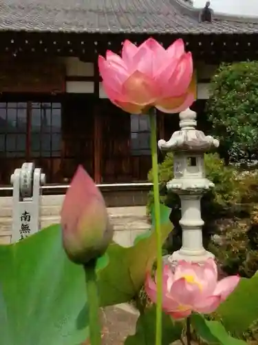長善寺(東京都)