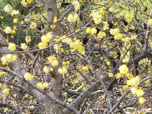石光寺(奈良県)